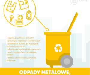 zasady segregacji odpadów w Kaliszu