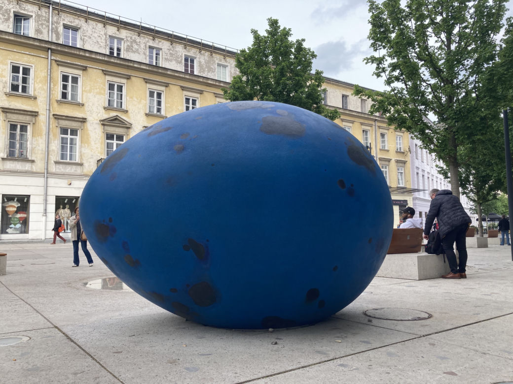 Pisklę. Drozda Śpiewaka