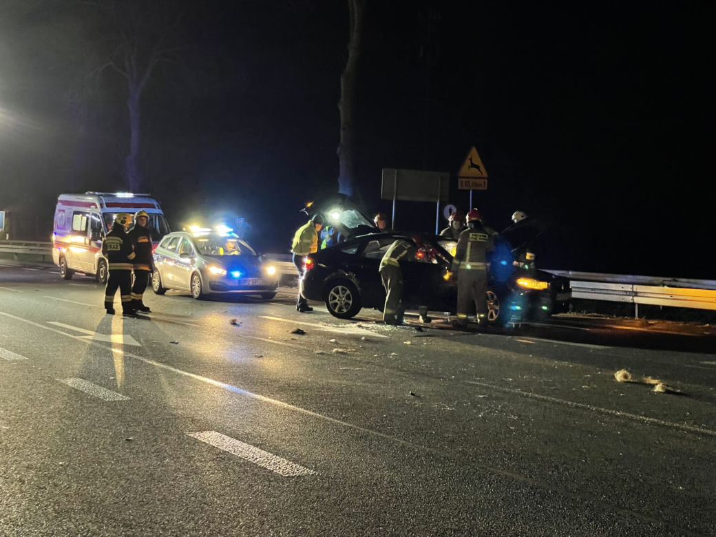 Potężny łoś spowodował karambol pod Warszawą. Zwierzę padło