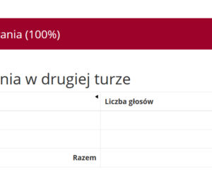 Wybory prezydenckie 2020. Wyniki w województwie warmińsko-mazurskim [POWIATY]