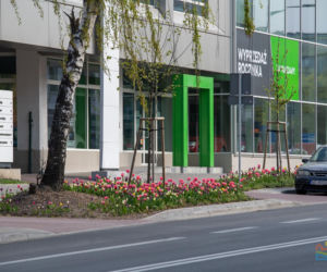 Olsztyn w wiosennym wydaniu. W mieście jest coraz piękniej