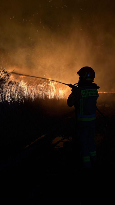 Pożar objął powierzchnię około 11 hektarów nieużytków