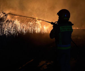 Pożar objął powierzchnię około 11 hektarów nieużytków