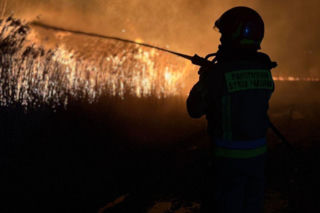 Pożar objął powierzchnię około 11 hektarów nieużytków