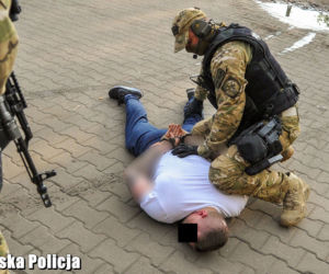 Policja zatrzymała sutenerów