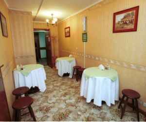 HOTEL POSELSKI