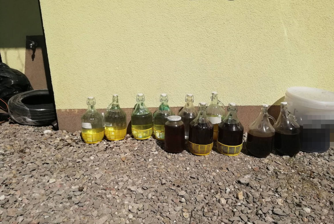 Pies wywęszył ogromną plantację marihuany pod Zduńską Wolą 