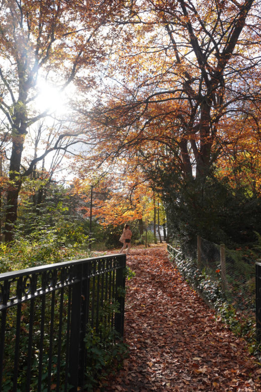 Park Wilsona jesienią