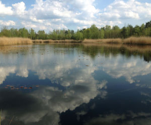 Mazowiecki Park Krajobrazowy