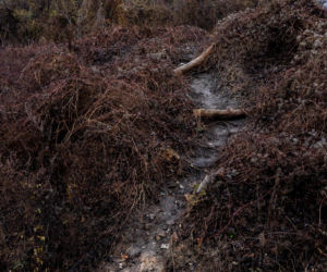 Park Akcji Burza w jesiennej odsłonie