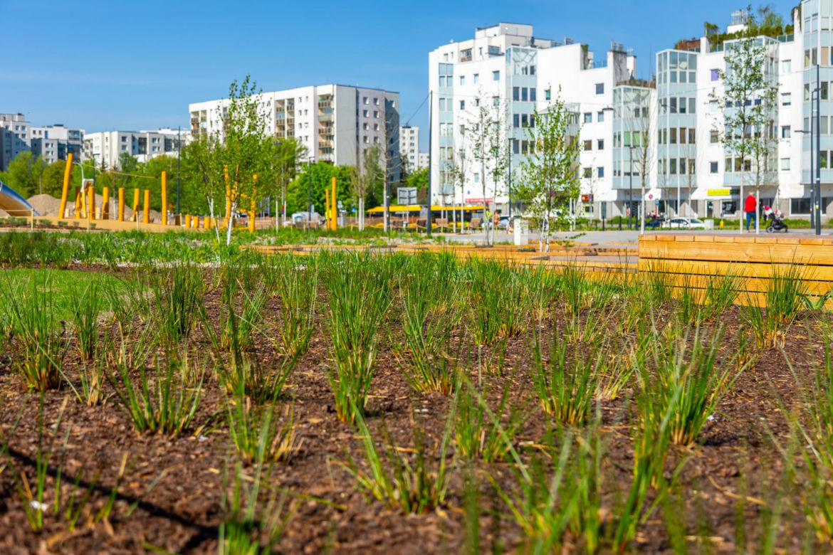 Park nad Południową Obwodnicą Warszawy na Ursynowie