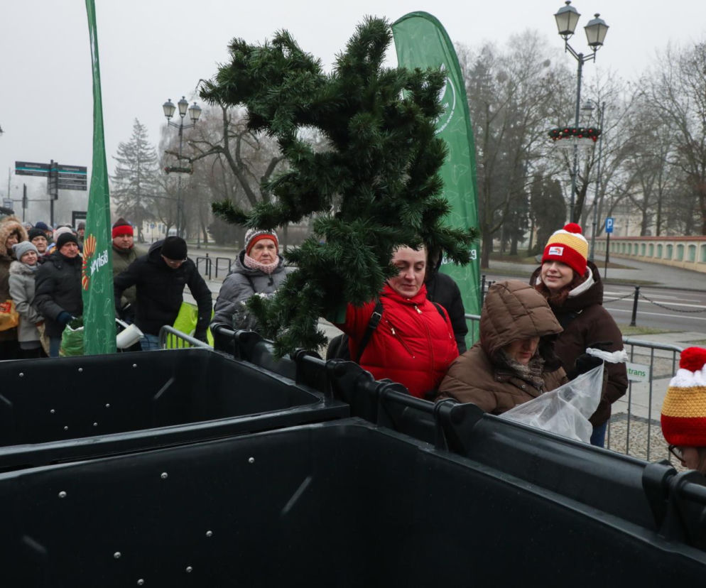 Białystok rozdaje choinki za elektrośmieci – mieszkańcy ustawili się w długiej kolejce