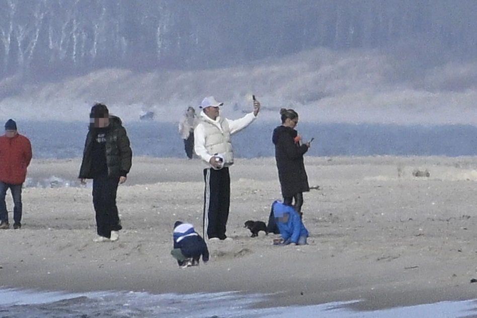 Prawdziwe paparazzi Rozenków nad morzem
