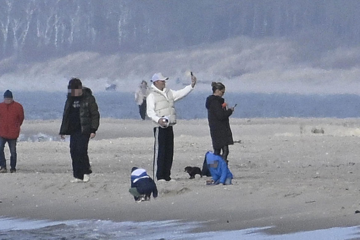 Prawdziwe paparazzi Rozenków nad morzem