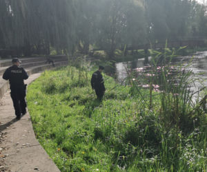 Mężczyzna WSKOCZYŁ do Drwęcy na terenie Brodnicy. Trwa akcja poszukiwawcza