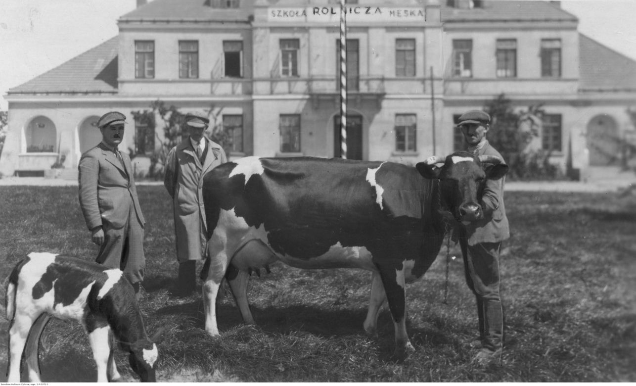 Radom na starych zdjęciach