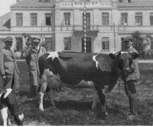 Radom na starych zdjęciach