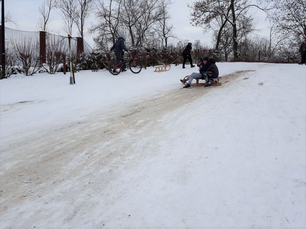 Z górki na pazurki, czyli zima w Parku 1000-lecia w Lesznie