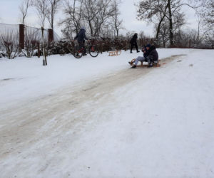 Z górki na pazurki, czyli zima w Parku 1000-lecia w Lesznie