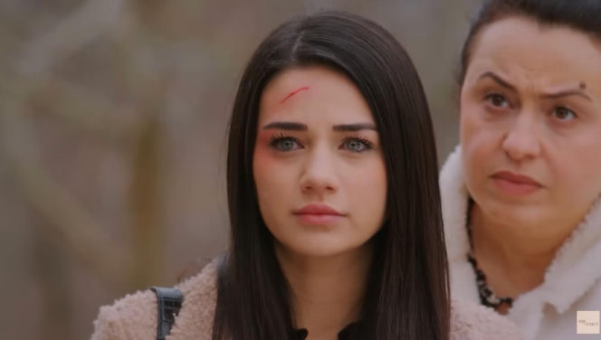 Miłość i nadzieja odc. 362. Bahar, Cavidan