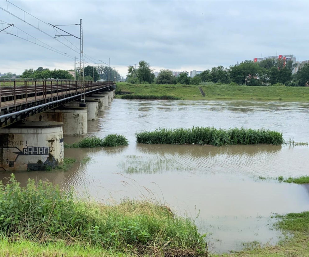 Odra wylewa? Opole czeka na drugą falę!