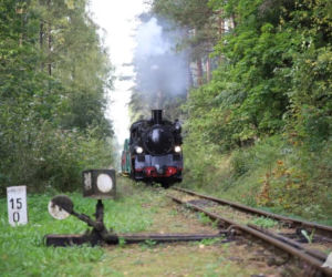 Koniec sezonu Ełckiej Kolei Wąskotorowej 2020. Tak było w sobotę! [GALERIA]