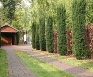 Wiata przy granicy działki 2026 - przepisy. Czy można postawić wiatę przy plocie sąsiada?