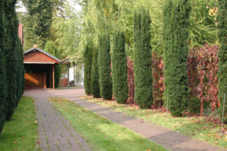 Wiata przy granicy działki 2026 – dokładne odległości, zgłoszenie i formalności krok po kroku