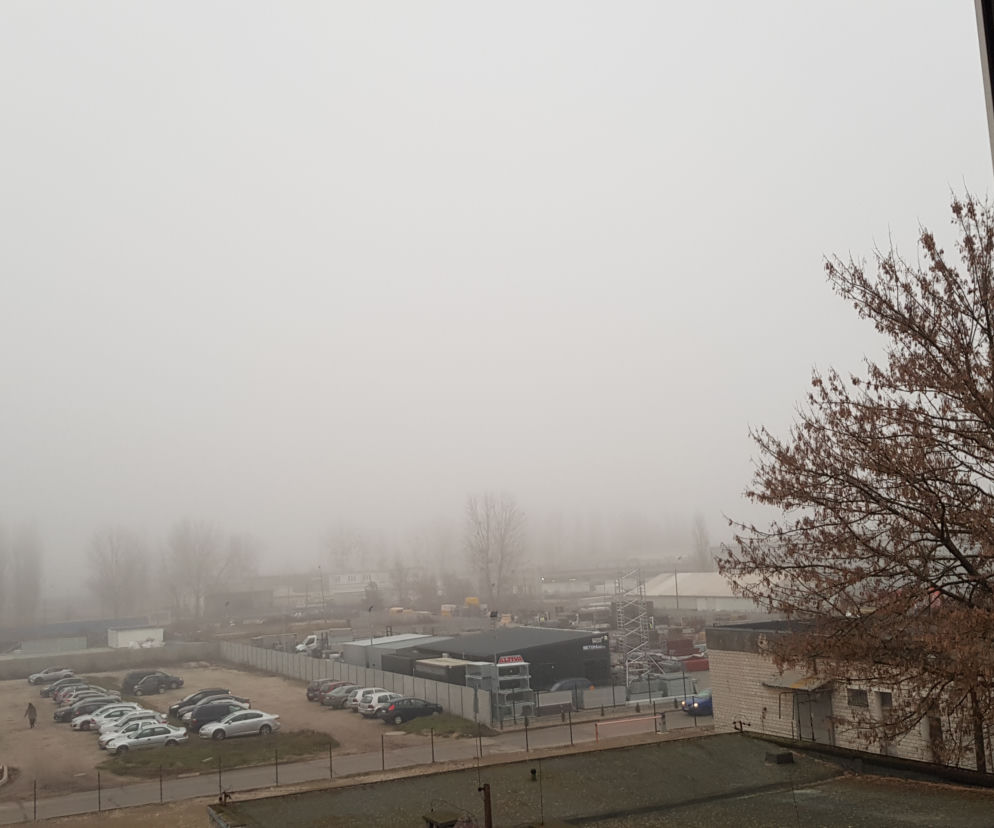 Mgła nad Toruniem