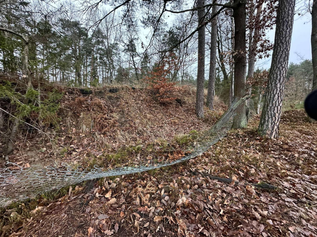 Ranna kobieta w lesie. Kula trafiła 53-latkę w głowę. W pobliżu ćwiczyli policjanci