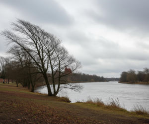 Malbork: Pogodowy cios! Co czeka mieszkańców 20.11.2025?