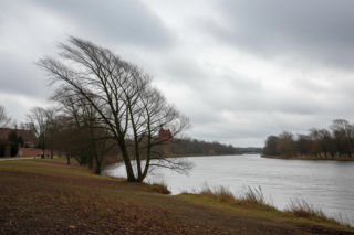 Malbork: Pogodowy cios! Co czeka mieszkańców 20.11.2025?