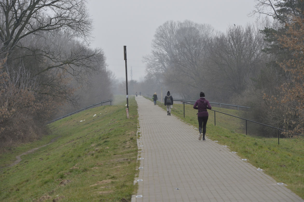 Ścieżka na Białołęce mruga jak pas startowy. Kontrowersyjna instalacja drażni mieszkańców 
