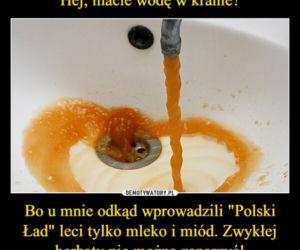 POLSKI ŁAD w oczach internautów. Zobacz najlepsze memy!