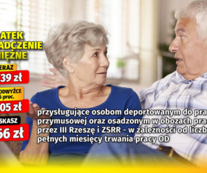 SG Waloryzacja Dodatki