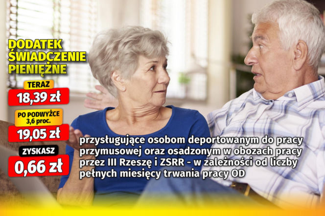 SG Waloryzacja Dodatki