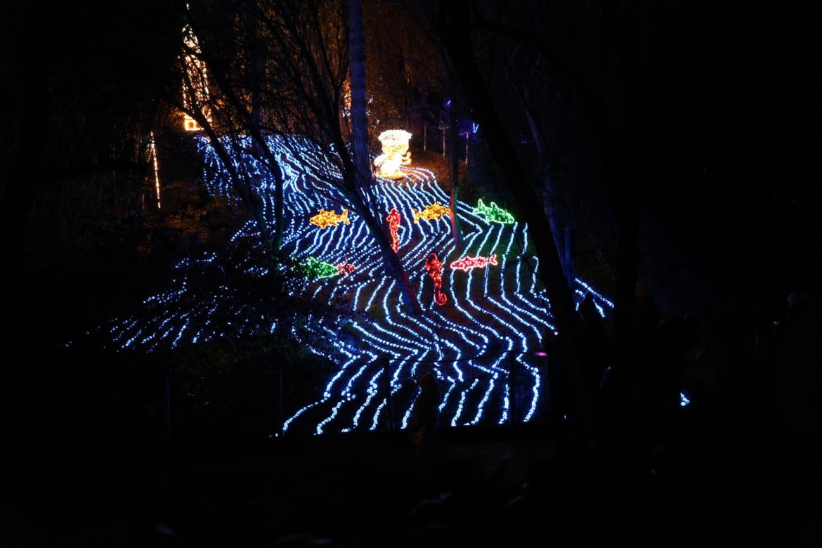 Park iluminacji 2023 w Lublinie