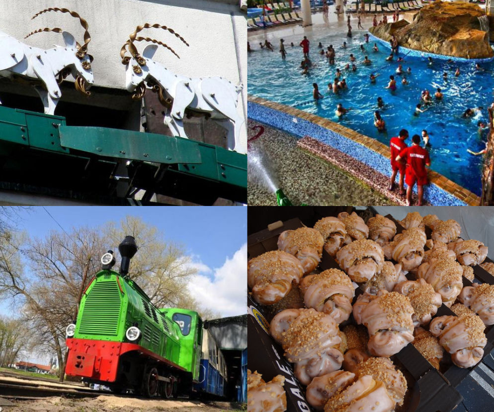 10 najlepszych atrakcji Poznania. Te miejsca trzeba zobaczyć!