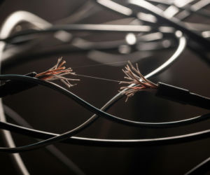 Dyktatura Tuska? Czy chcą, by Trump go obalił?