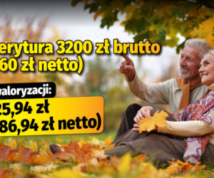 Polski Ład/waloryzacja 4,89