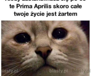 Memy Prima Aprilis