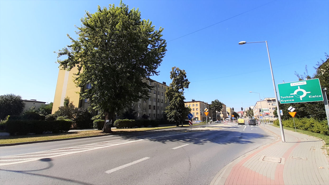 Wycinka drzewa oprotestowana