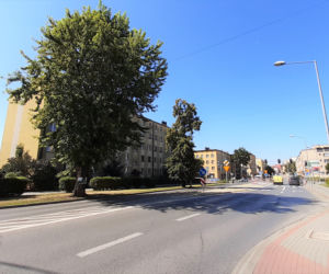 Wycinka drzewa oprotestowana
