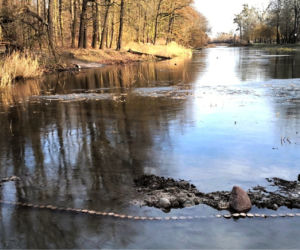 Metamorfoza Parku Miejskiego na Bydgoskim Przedmieściu! Co się zmieni?