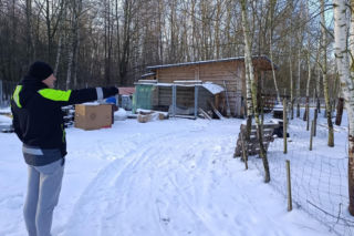 Wataha psów terroryzuje wieś. „Nie zaatakowały z głodu. To była napaść, by zabić”