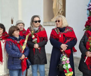 Niedziela Palmowa 2026 w gminie Brody. Barwna procesja i rekordowe palmy w Krynkach