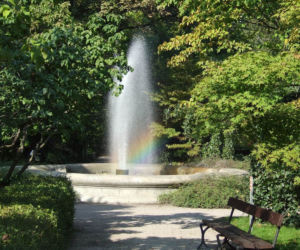 Ogród Botaniczny UW