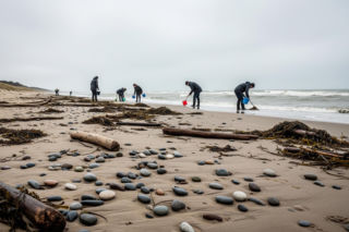 Bałtyk jak gorączka złota. Co niezwykłego wyrzuciło morze po sztormie?