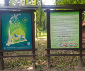 Leśne Arboretum Warmii i Mazur w Kudypach