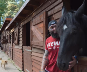 Marcin Różalski ratuje konie